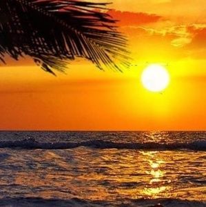 Meet your Posher, Tresa